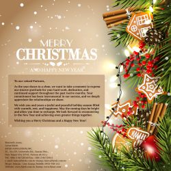 2025 Merry Christmas